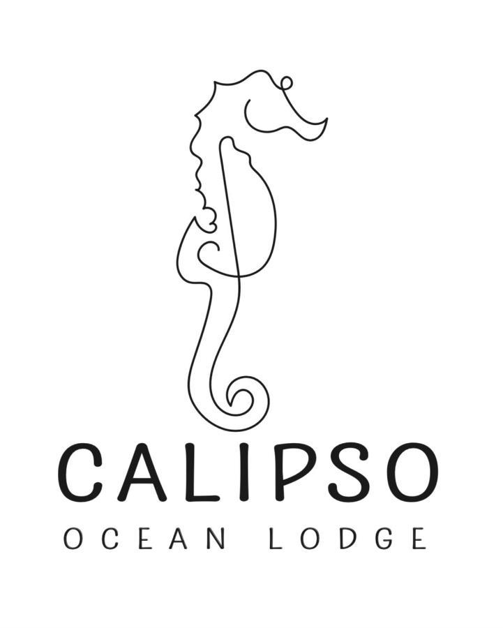 Calipso Ocean Lodge- Avellana Beach Hotel 플라야 아베야나 외부 사진