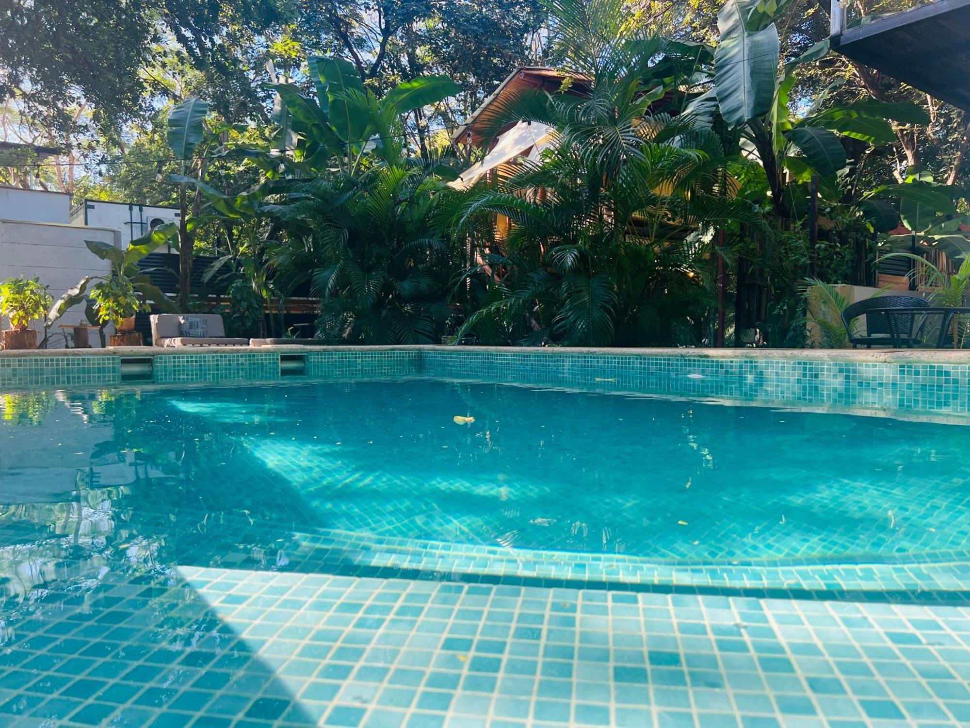 Calipso Ocean Lodge- Avellana Beach Hotel 플라야 아베야나 외부 사진