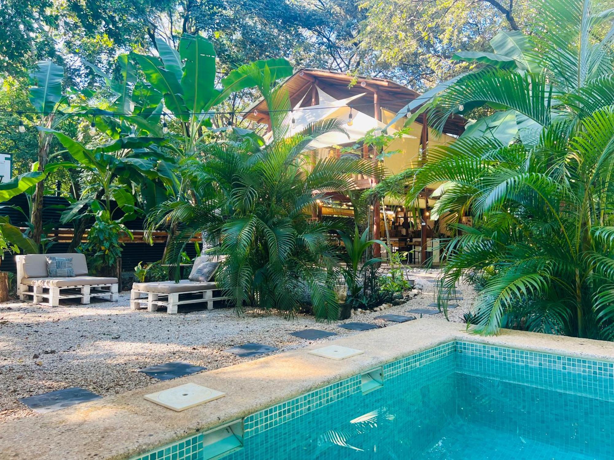 Calipso Ocean Lodge- Avellana Beach Hotel 플라야 아베야나 외부 사진